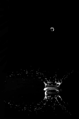 kvapka_black_one