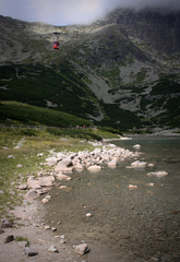 Skalnaté