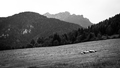 Slovensko