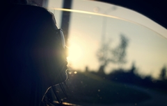 on road in sunset