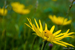 Krása dokonalej  pravidelnosti