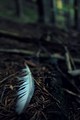 lost
