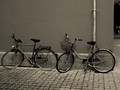 bicycles