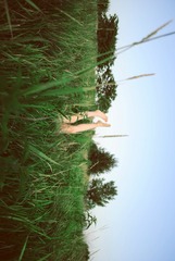 lost.