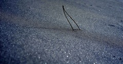Alone in snow