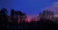 Pink Night