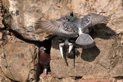 len aby nás nevidela moja stará