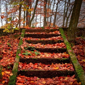 jesenné schody v MK