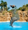 Loro Parque