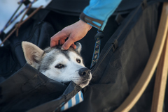 Ja som chcel bežať...