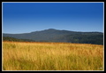 Vtáčnik 01