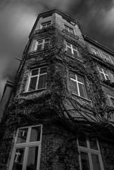 architektúra versus vegetácia
