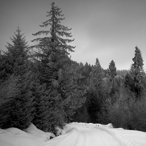 Zima Ružbachy