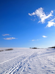 Stará Ľubovňa (marec 2013)