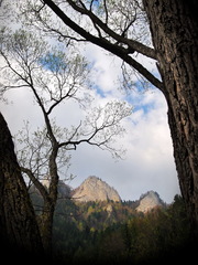 Červený kláštor /Lesnica