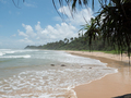 Pláž na Srí Lanke.