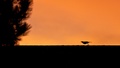 how can this be,, ? :)