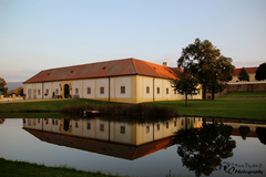 Schloßhof - odraz v obraze