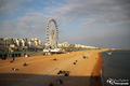 °BRIGHTON WHEEL°