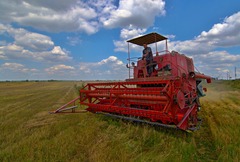 Harvest