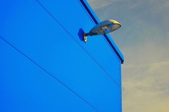 blue