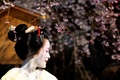 Maiko