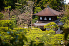 Kyoto - Ginkakuji