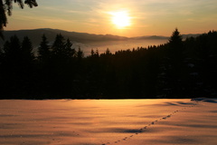 ráno
