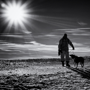 Muž, pes a slnko
