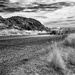 Lost in (Infra) Red Rock Canyon