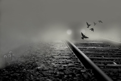 on the rails