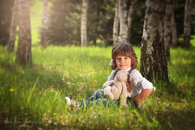 in the birch grove