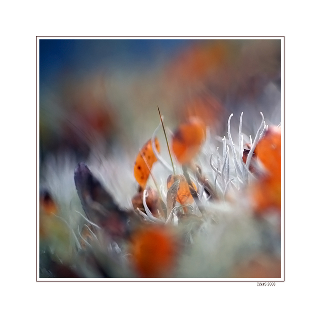 Natures abstraction