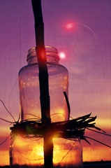 Magic