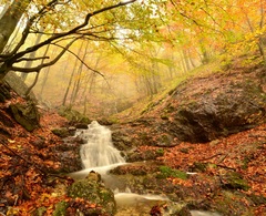 jesenná idylka