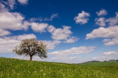Summer day :)