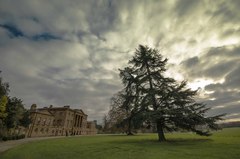 Basildon park