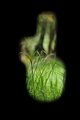 výhľad