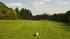 Smolenický zámok