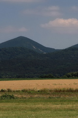 Záruby