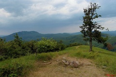 Skalnatá