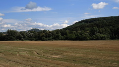 Hrad Branč