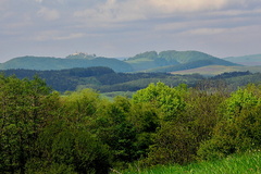 Branč