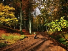 Jeseň