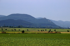 Plavecký hrad
