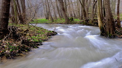 Potôčik