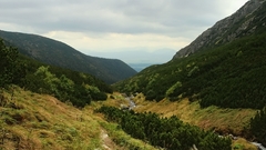 Bystrá dolina