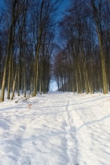 Zasnežená cesta