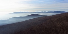 Inverzia