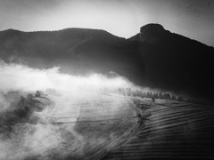 ranné odhaľovanie VII